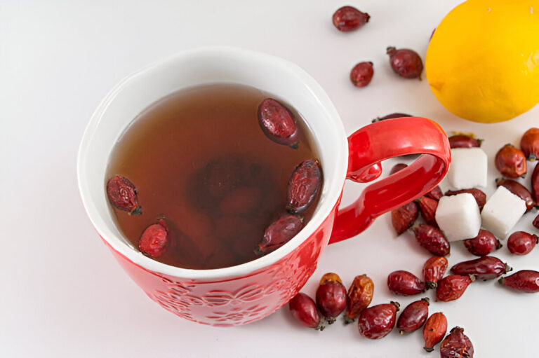 A cup of herbal tea with dried rose hips and lemon, surrounded by sugar cubes and additional rose hips on a white background.