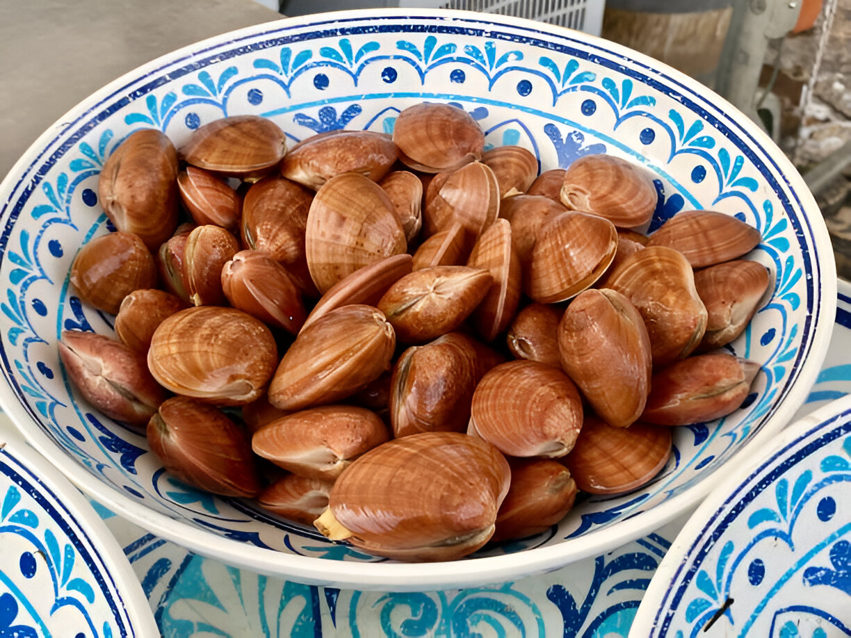 A bowl filled with fresh clams arranged beautifully with a decorative blue and white design.