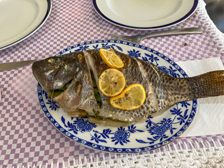 A whole fish garnished with lemon slices, served on a decorative blue and white plate on a checkered tablecloth.